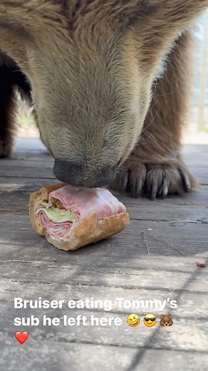 98K views · 1.8K reactions | Single Vision, Inc. on Reels | Facebook