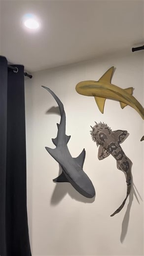 Drew | 20% discount code (20KLSVP) #getbeaverbot #BeaverBot #cardboardcrafts #cardboardshark #diy #crafts #shark | Instagram