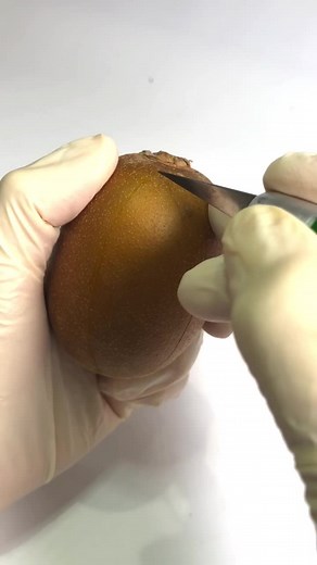 Kiwis: Delicious Fruits and Creative Art Ideas