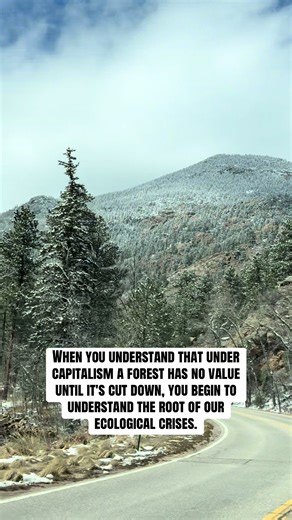 Capitalism's Impact on Forests & Ecological Crisis