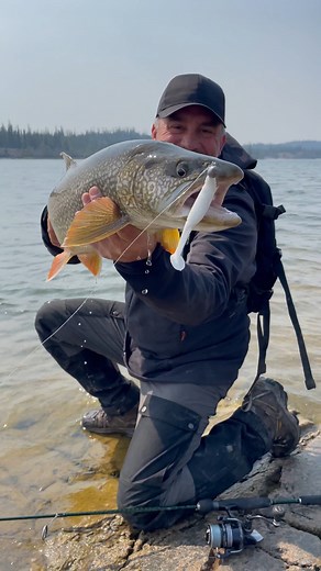 641K views · 10K reactions | Annonce !  Nouvelle vidéo tous les dimanches incluant du contenu exclusif. Ne manquez pas ça. Abonnez-vous ! ➡ youtube.com/@CyrilChauquetTV #derniersgeants #fishon #cyrilchauquet #pechexxl | Cyril Chauquet | Facebook