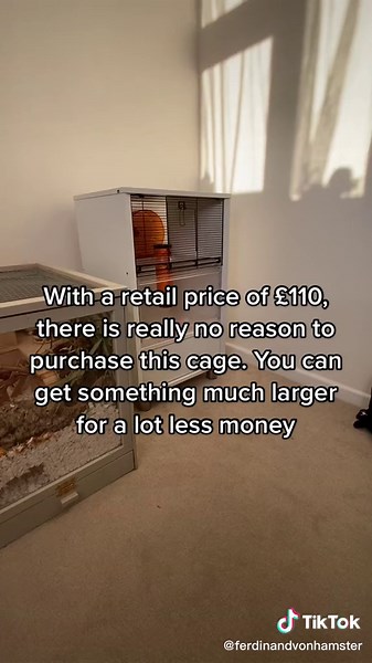 Avoiding Issues with Small Hamster Cages