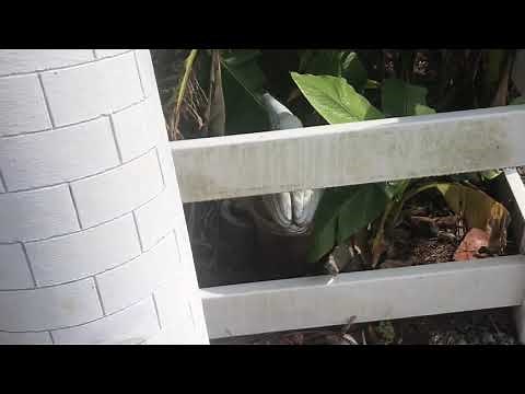 Easy vinyl siding and vinyl fence cleaning with bleach.