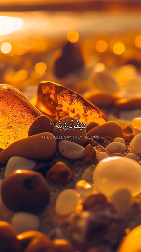 A Reminder From Allah Today 🌙 | تذكير من الله اليوم | Qari: Abdul Rahman Mosad