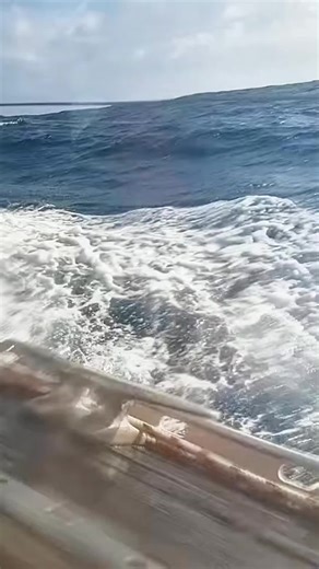 This is what 25 knots of wind looks like #adventure #amazing #Ocean #foryou #fyp