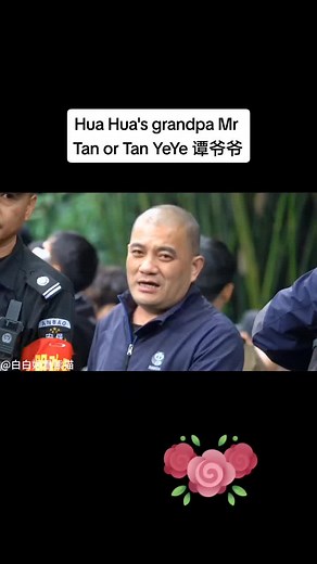 pandadreamhome on TikTok