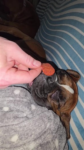 Sunnie's Unusual Wake-Up Call