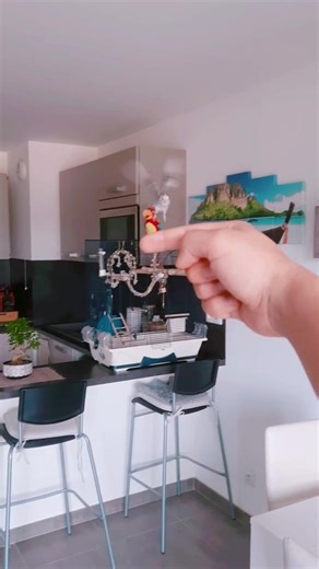 Appel réussi à notre perruche calopsitte Coco 🐦