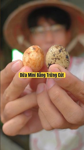 Mini Coconut Peeler #hienonha #fruit #food #shorts