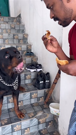 Parthipan M on Instagram: "சப்பாத்தி சைக்கோ😂😂😂"