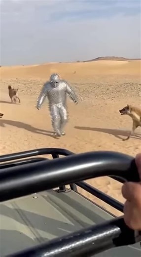 Animal Attack Horror Story Featuring Cactus Man