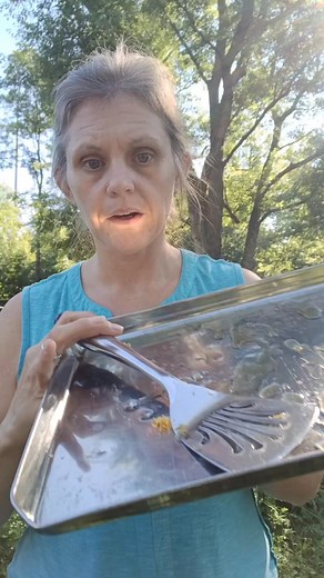 What to watch for when open feeding your bees. #beekeeping #beekeeper #feeding #feeders #bees #honey #honeybee #beekeeperslife #beekeepinglife | Mueller Honey Bee