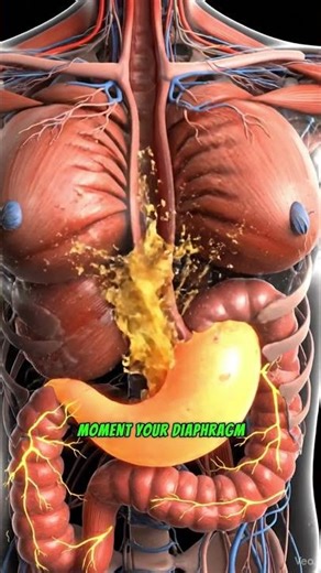 What Is the Vomit (Gag) Reflex? 😳🤢 #bodyreactions #dailyhealthtips #facts #learnonyoutube #asmr