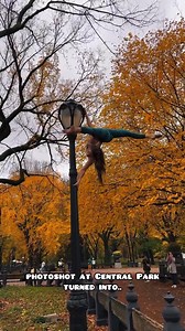 13K views · 161 reactions | Featuring @veronika.goroshkova  @reneechoiphotography #godatu #godatudance #dance #dancer #photography #dancephotography #ballet #ballerina | Godatu | Facebook