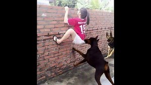 8.7M views · 10K reactions | Funny moments can't stop laughing right now Part 2 | Faded Funny | Facebook