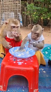 YaYa And Shally Are Eating Yummy | YaYa Note