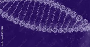 DNA molecule on ditigal violate background. Genetics concept. Animation of DNA construction. DNA molecule For visuals, biology, biotechnology, medical dashboard. DNA futuristic footage