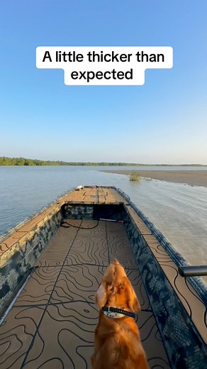 Life360 called and asked if I had been in a crash #mudboat #mudmotor #gatortail #boat #mud | Spencer Lewis