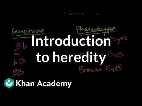 Introduction to Heredity
