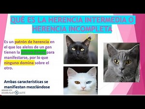 WHAT IS INTERMEDIATE INHERITANCE