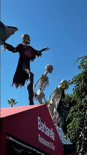 Barbarella restaurant & bar ( la Jolla )