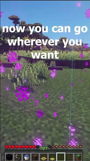 The NEW Minecraft Ender Pearl Stasis Chamber by ‪@docm77‬