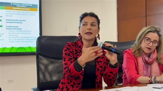 Los animalistas del Petrismo van a matar decenas de hipopótamos porque no pueden encontrar una solución diferente como hacer un santuario en el rio Magdalena y esterilizar, malditos hijueputas inútiles.