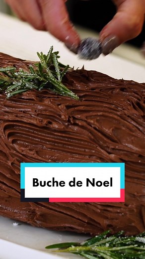 Simple Christmas Yule Log Cake Recipe