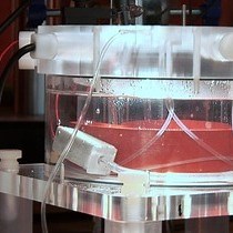 Video: Improved Preparation and Preservation of Hippocampal Mouse Slices for a Very Stable and Reproducible Recording of Long-term Potentiation