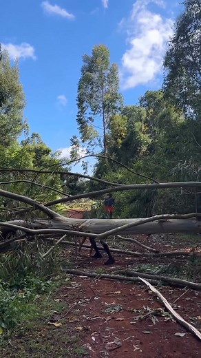 5.2K views · 197 reactions | Marathon Training in Kenya ..... #running #marathon #marathontraining #nikerunning #nnrunningteam | Novice Running Store | Facebook