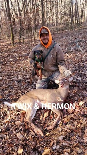 Deer Recovery pups are doing great track#4 &5 for the season recovered. #deerhunting #deermanagement