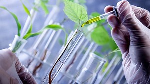 U.S. unveils biotech training for Nigerian scientists, regulators