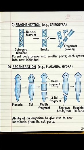 class 10th science chapter - how do the organism reproduce notes 📑📝. #biologynotes #lecturenotes