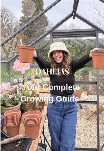 How to Pot Up Dahlias: A Step-by-Step Guide