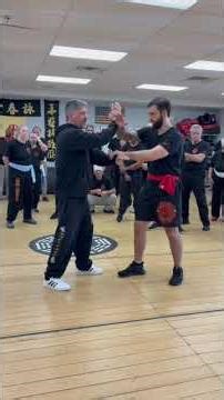 Cross Arm Chi Sao SD 480p