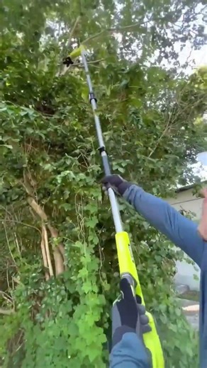 the process of cutting tree branches with modern tools #shorts