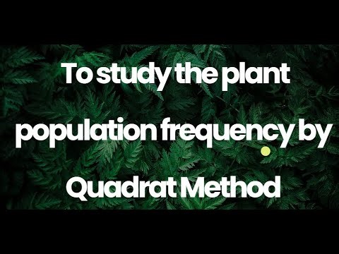 Plant Population frequency/class12/Practicals