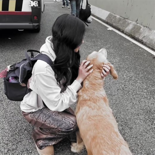 #sophialaforteza ₊˚⊹ ᰔ || im completely outta ideas || #viral #actives #fyp #sincerelysophias || cc pc: sweetlydevoted (cant share) || @sophia laforteza || sophia laforteza katseye soft edit, soft edit audio