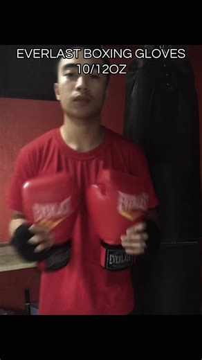 Affordable Everlast Boxing Gloves | 10/12oz Quality Gear