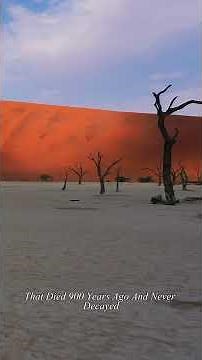 Namib Desert — Earth’s Most Beautiful Sea Of Sand