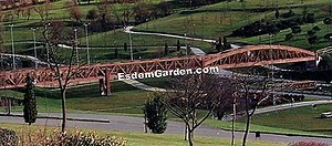 Celosia: Însămânțare, Cultivare Și Întreținere 🌿 Totul Despre Grădinărit Și Design De Gradina - 2025