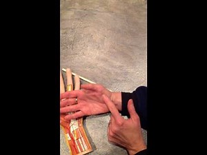 Hand Model