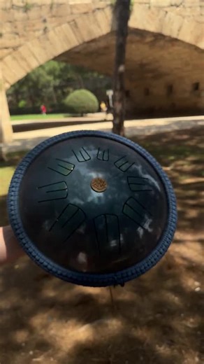 12 Inch 9 Note Handmade Galaxy Steel Tongue Drum: Handpan Sound - Etsy