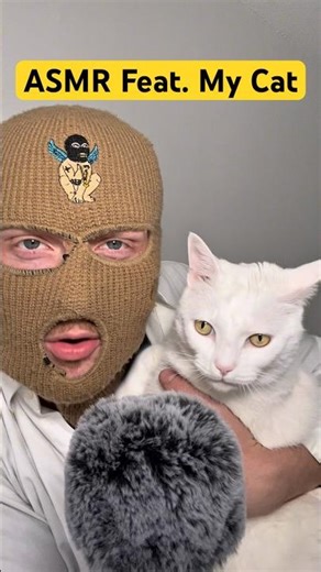 My pet CAT does AMSR