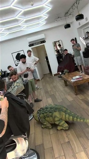 Bramble goes for a haircut
