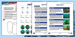 Coral Reefs: Coral Identification Fan