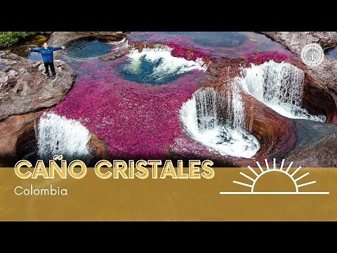 Caño Cristales como nunca lo habías visto