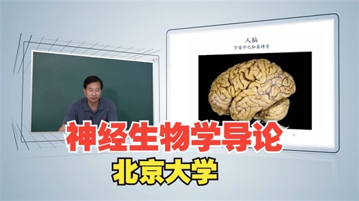 【北京大学】神经生物学导论