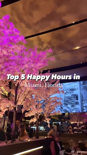 Miami Bar Crawls on TikTok