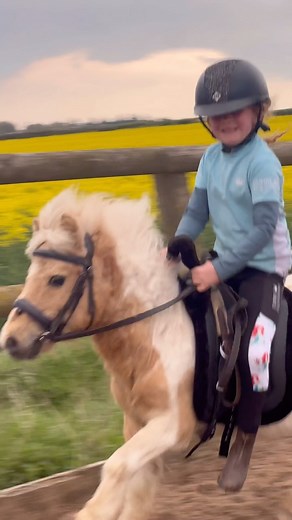 61K views · 24K reactions | Fast Shetland brum brum #horse #pony #showjumping #equestrian #horselover #horserider | Jumping with Ivy | Facebook